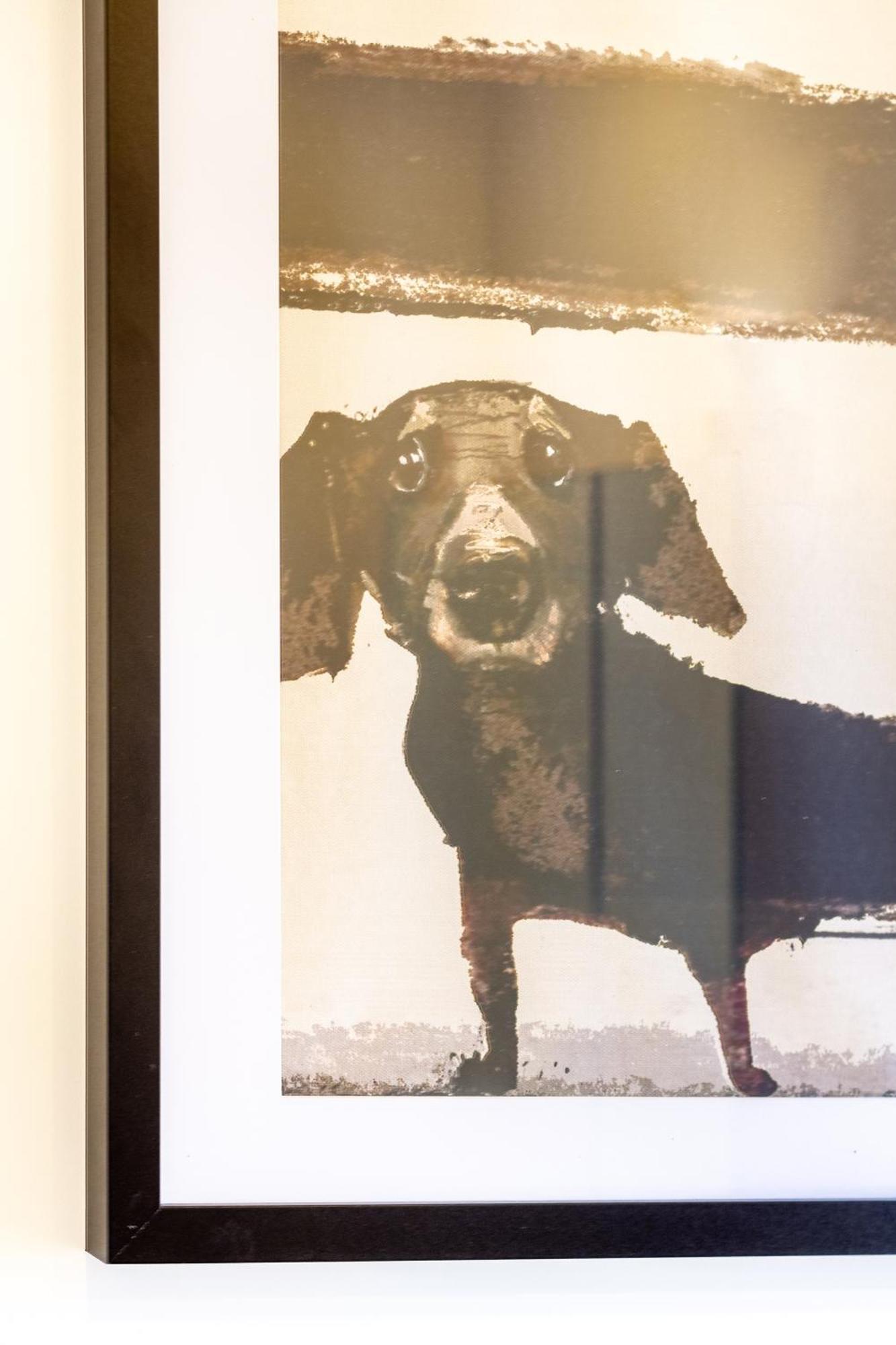 Central City Charm: Pet-Friendly Studio Christchurch Buitenkant foto