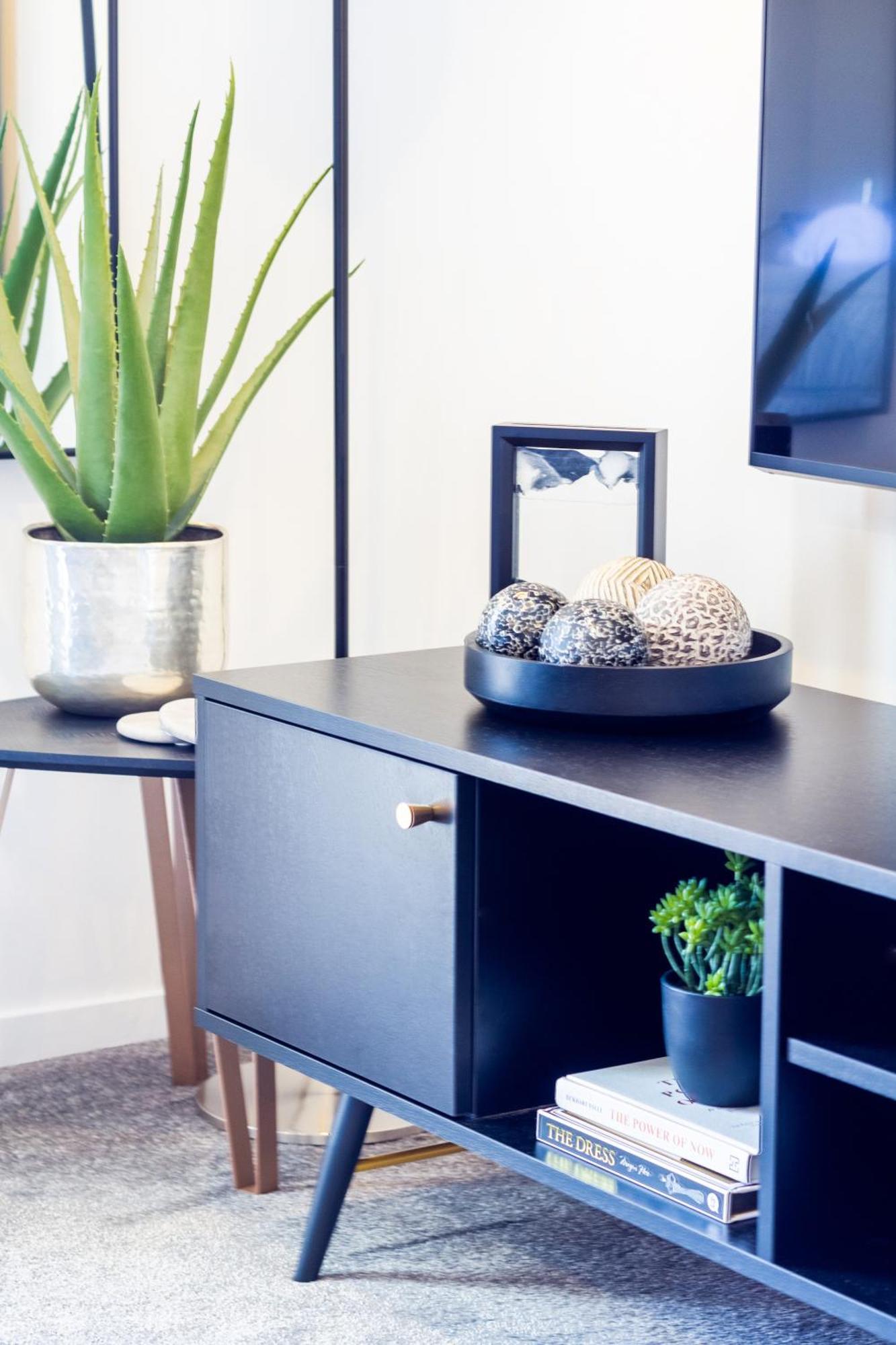 Central City Charm: Pet-Friendly Studio Christchurch Buitenkant foto